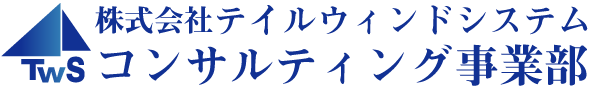 株式会社テイルウィンドシステム コンサルティング事業部
